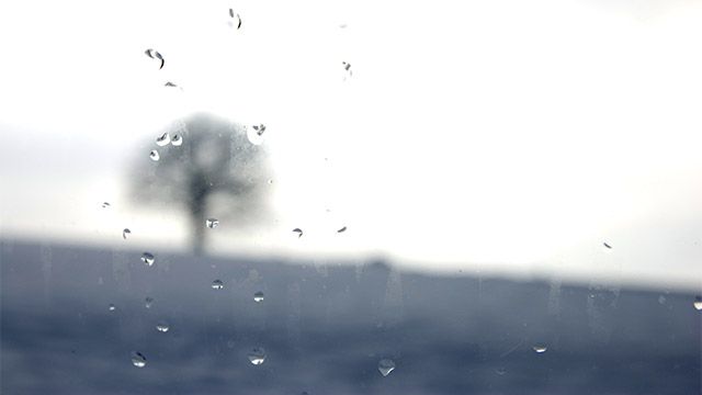 Road Movie — Filmstill